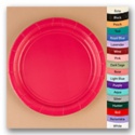 Dinner Plates - 9