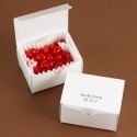 Small White Treat Box - Blank