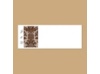 Clearly Refined - Chocolate - Print Your Own Mailing Labels