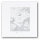 Silver Roses of Beauty Program - Blank