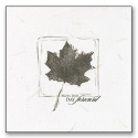 Autumn Splendor Program - Blank