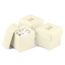 Ecru Shimmer Favor Boxes (2-Piece)