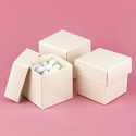 Ecru Shimmer Favor Boxes (2-Piece) - Blank