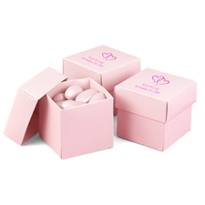 Pink Favor Boxes (2-Piece)
