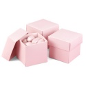 Pink Favor Boxes (2-Piece) - Blank