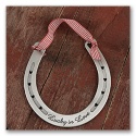 Pewter Horseshoe