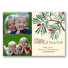 Winter Branch - Photo Holiday Card