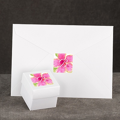 Tropical Hibiscus - Seal