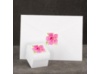 Tropical Hibiscus - Envelope Seal