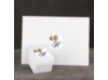 Vintage Peony - Envelope Seal