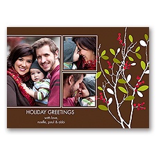 Winter Berries - Photo Holiday Card