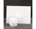 Fanciful Feather - Aqua Envelope Seal