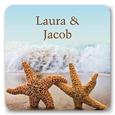 Starfish - Jumbo Seal