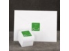 Key to Love - Green - Envelope Seal