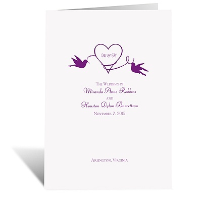 Pretty Birds - Program