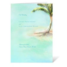 Palm Tree - Program