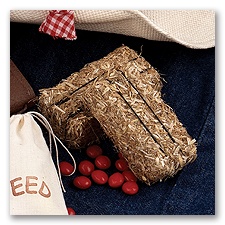 Miniature Hay Bale Favors