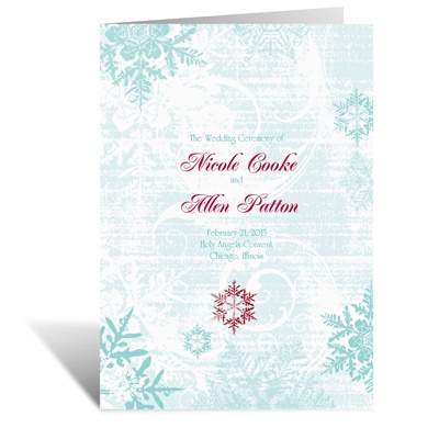 Snowflakes and Swirls - Aqua - Program