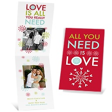 All You Need - Barn Red - Photo Holiday Card