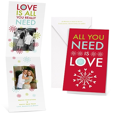 All You Need - Barn Red - Photo Holiday Card