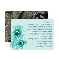 Peacock Close-Up - Aqua - Map Card