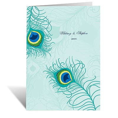 Peacock Close-Up - Aqua - Program