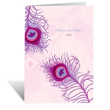 Peacock Close-Up - Cotton Candy - Program