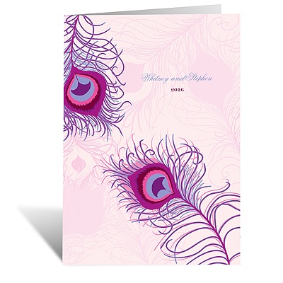 Peacock Close-Up - Cotton Candy - Program