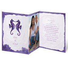 Sweet Sea Horses - Grapevine - Invitation