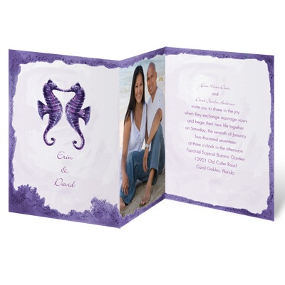 Sweet Sea Horses - Grapevine - Invitation