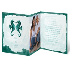 Sweet Sea Horses - Peacock - Invitation