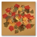 Autumn Leaf Decorations