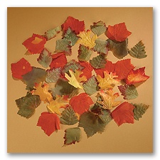 Autumn Leaf Decorations