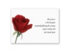 Rose Red - Reception Folder