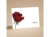 Rose Red - Thank You Folder and Envelope