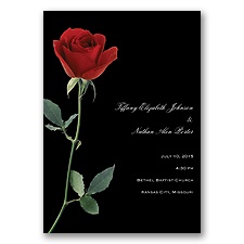 Rose Red - Program