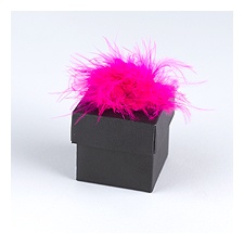 Hot Pink Feather Accents