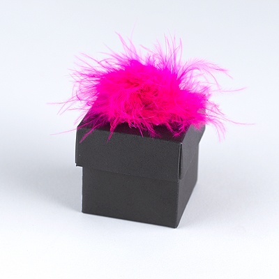 Hot Pink Feather Accents