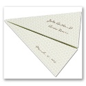 Perforated Airplane Save The Date