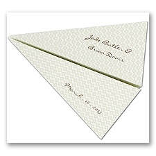 Perforated Airplane Save The Date