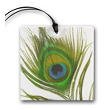 Petite Peacock Feather - Invitation
