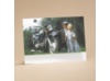 Riding High On Love - Respond Card And Envelope
