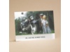 Riding High On Love - Note Card And Envelope
