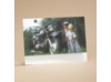 Riding High On Love - Reception Card