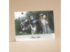 Riding High On Love - Thank You Card With Verse And Envelope