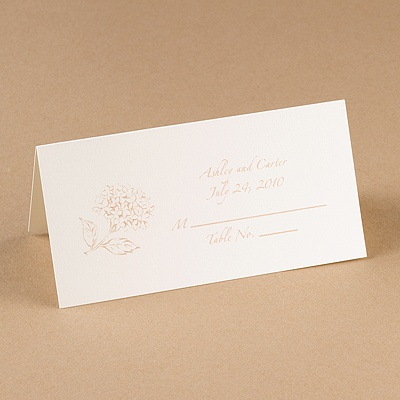 White Design Choice Place Card