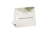 Petite Peacock Feather - Thank You Card and Envelope