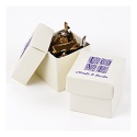 Ivory Shimmer Two-Piece Favor Boxes