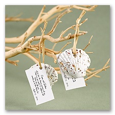 Plant A Seashell Favors