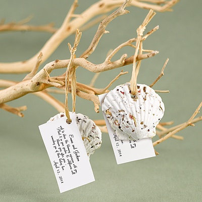 Plant A Seashell Favors